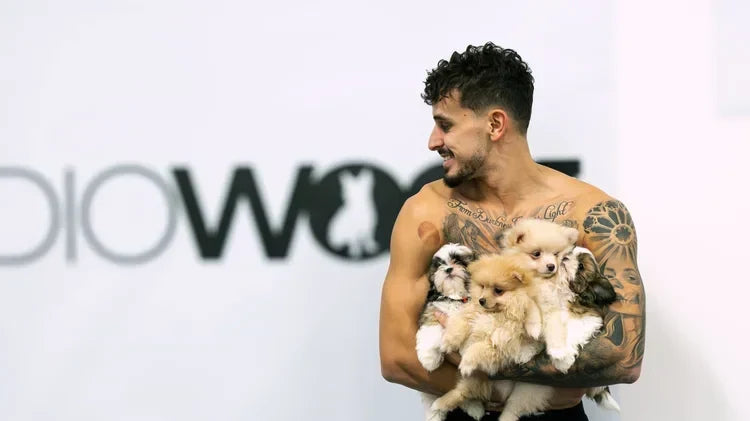 Best Things to Do in Montreal: Try Puppy Yoga at Studio Woof
