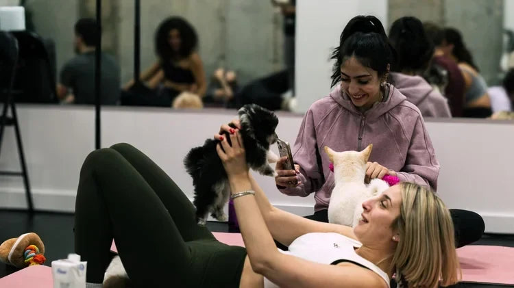 5 Reasons Puppy Yoga Is the Ultimate Stress Reliever in Montreal (Backed by Real Experiences)