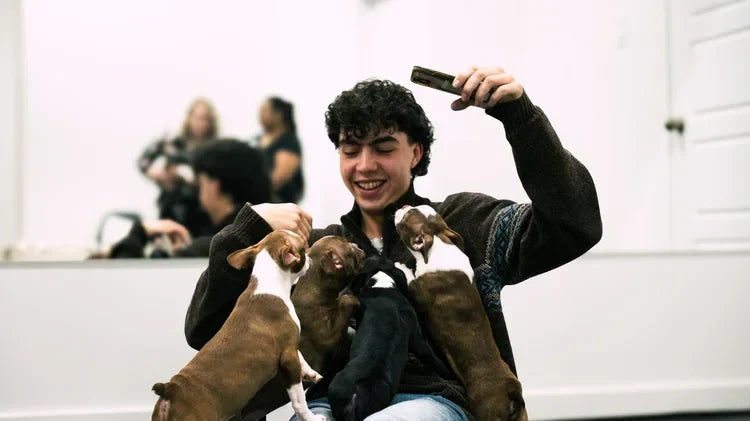Behind the Zoomies: How Our Puppy Activities Help Puppies Socialise and Thrive