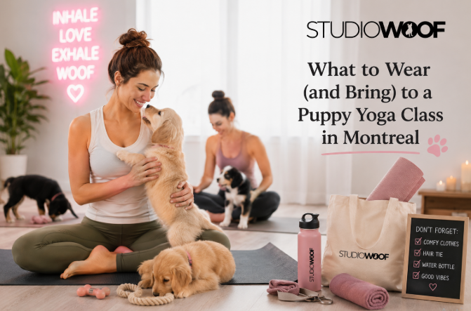 What to Wear (and Bring) to a Puppy Yoga Class in Montreal