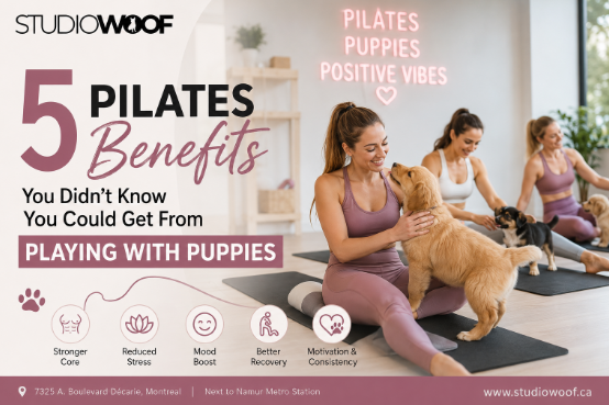 5 Pilates Benefits You Didn't Know You Could Get From Playing With Puppies