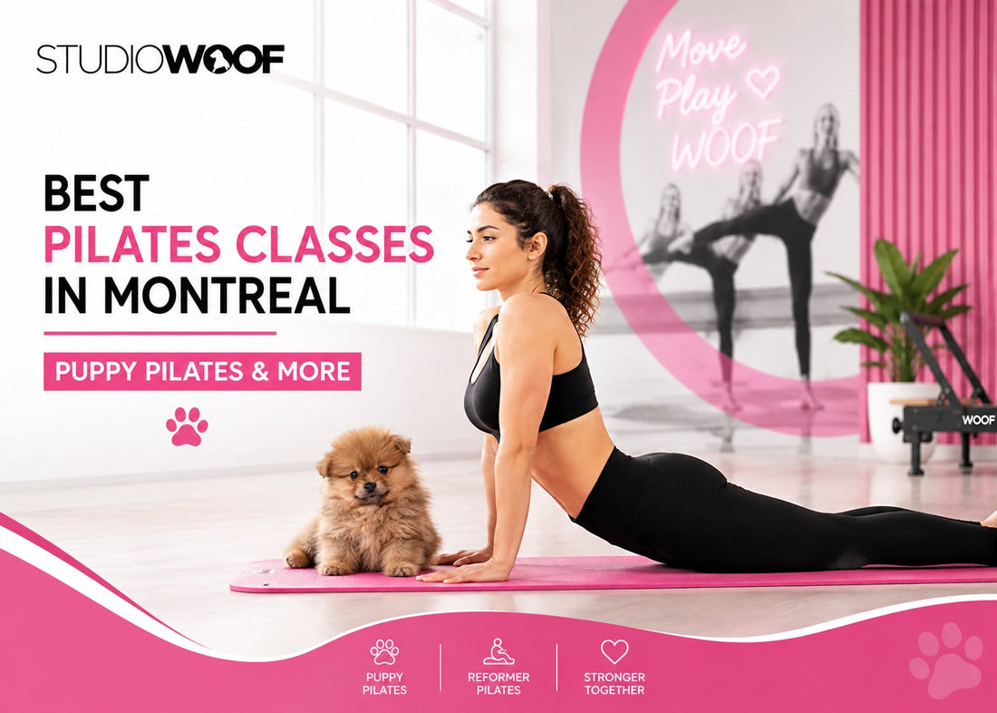Best Pilates Classes in Montreal: Why Puppy Pilates Is Worth Trying