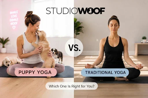 Puppy Yoga vs. Traditional Yoga: Which One Is Right for You?