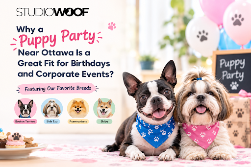 Why a Puppy Party Near Ottawa Is a Great Fit for Birthdays and Corporate Events