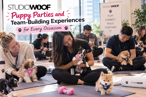 Puppy Parties and Team-Building Experiences for Every Occasion