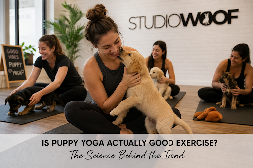 Is Puppy Yoga Actually Good Exercise? The Science Behind the Trend